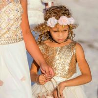 Venting about Pro Bam