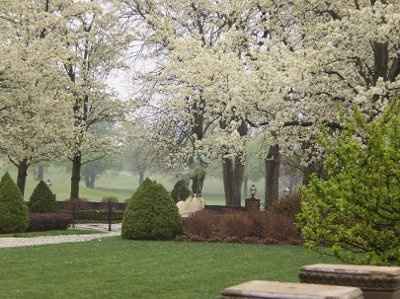 What about finding a VENUE-twin???