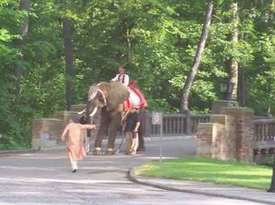 WE ARE OFFICIALLY MARRIED (picts included)