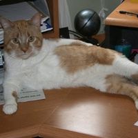 Let's get to know each other ladies!