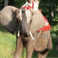 Show me your favorite pic!