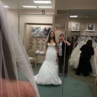 Which dress? Please help!