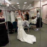 Which dress? Please help!