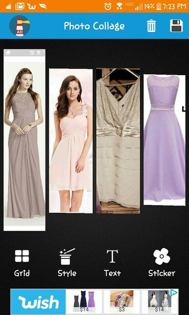 Anyone else letting their BMs pick their dresses?