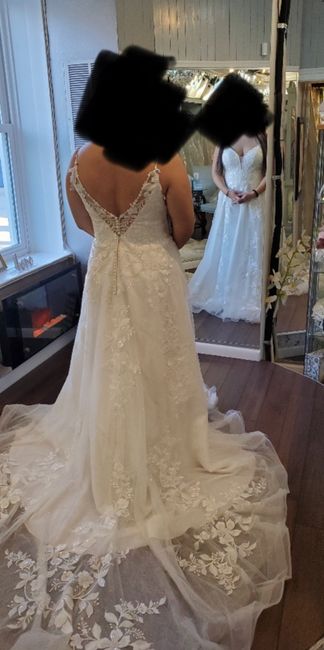 Dress regret, can i change the silhouette? - 2