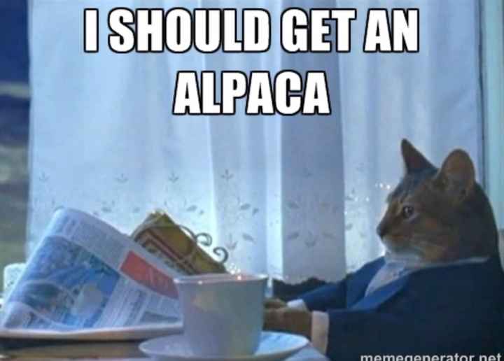 The alpaca thread is gone