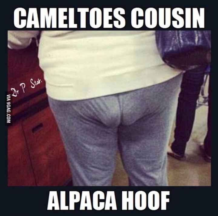 The alpaca thread is gone