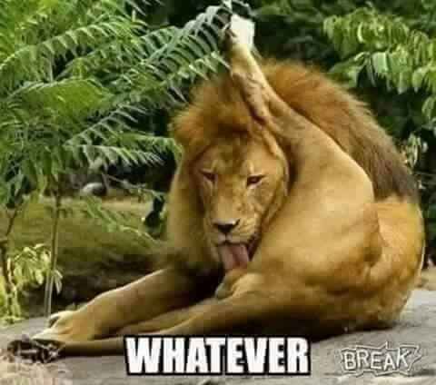 NWR: Your favorite picture or meme