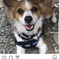 Custom beer name! - 1