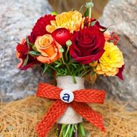 What do they look like....???