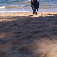 Show off your fur babies!