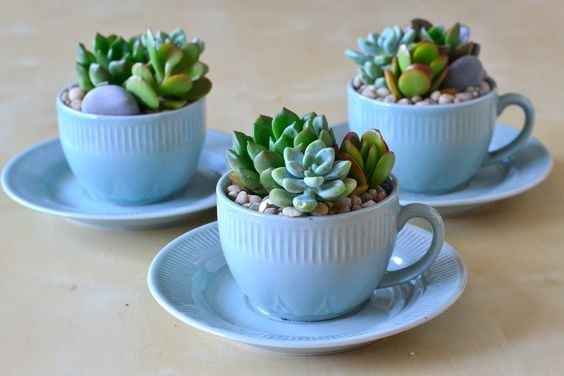 Creative centerpieces?