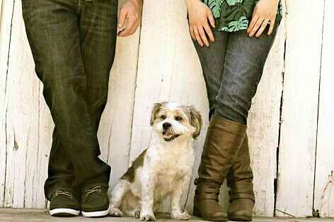 Spinoff: Show us your rescues!
