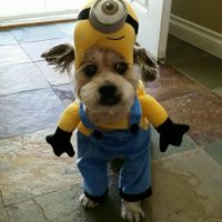 NWR: Do your pets celebrate Halloween?