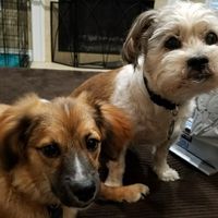 NWR: got a dog!