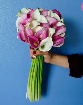 Which would look best? 3