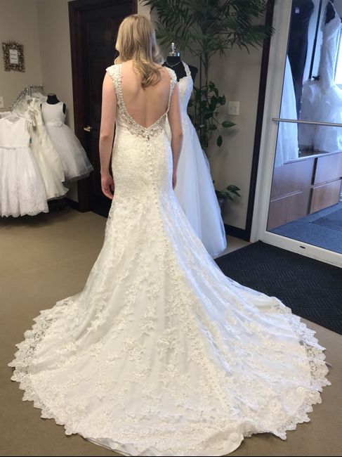 Dress decisions: what about the back? - 1