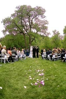 summer weddings!