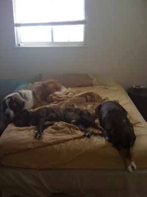NWR - Furry babies