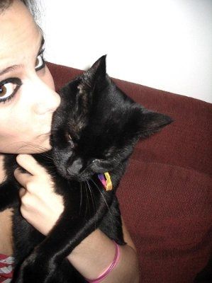 Let's see your pets!