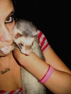 Let's see your pets!