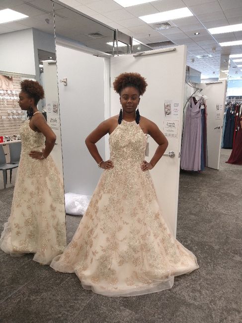 i found my dress But.... - 1