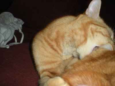 Let's see your pets!