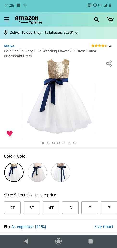 Flower girl attire - 1