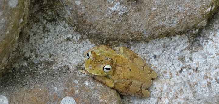 Costa Rica Honeymoon Pics! (PIC HEAVY)