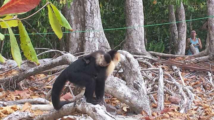 Costa Rica Honeymoon Pics! (PIC HEAVY)