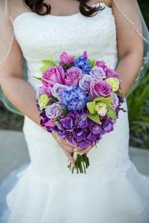 PRO PICS ARE HERE! (PIC HEAVY!)