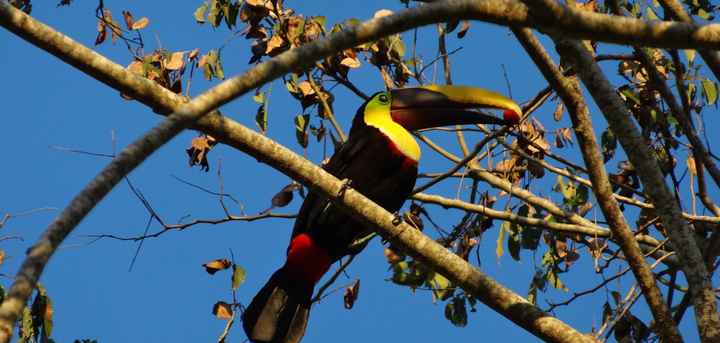 Costa Rica Honeymoon Pics! (PIC HEAVY)