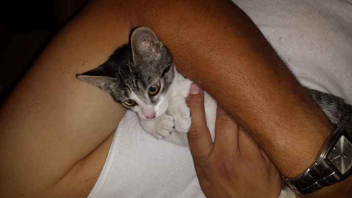 NWR: I got a fur baby!!! PICS! :)