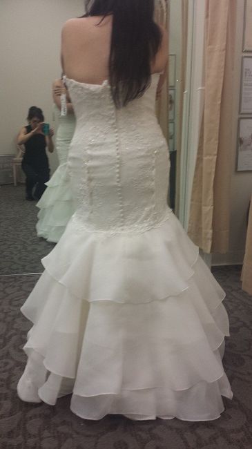 Model in the dress vs. you in the dress