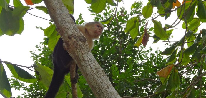 Costa Rica Honeymoon Pics! (PIC HEAVY)