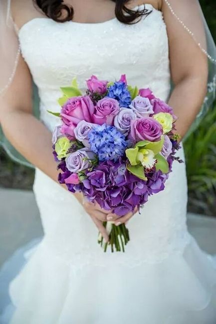 PRO PICS ARE HERE! (PIC HEAVY!)