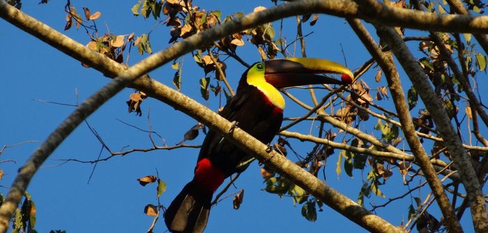 Costa Rica Honeymoon Pics! (PIC HEAVY)
