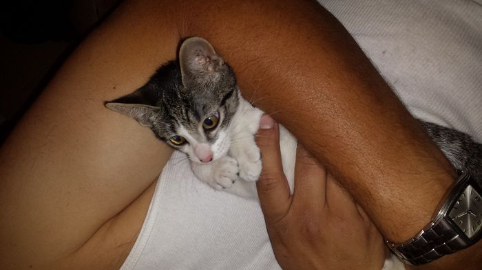 NWR: I got a fur baby!!! PICS! :)
