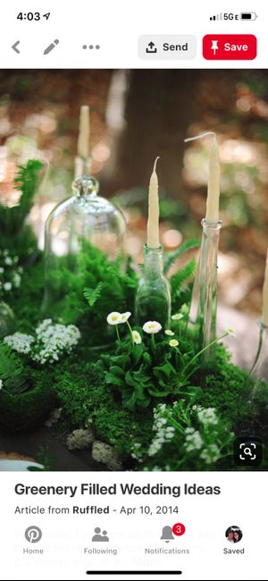 Dresses, and flowers, and themes, oh my! 6