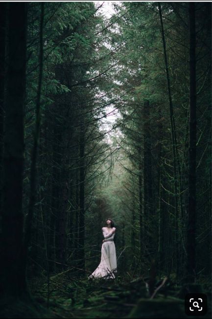 Destroy the Dress editorial photos?? 6