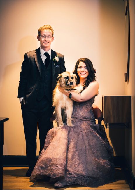 Including dogs in your wedding day 2