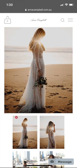 Hayley Paige “walker” gown? 11