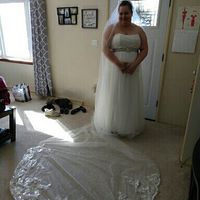 Cathedral veil - 1