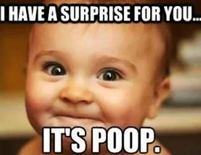 Meme theme of your day?