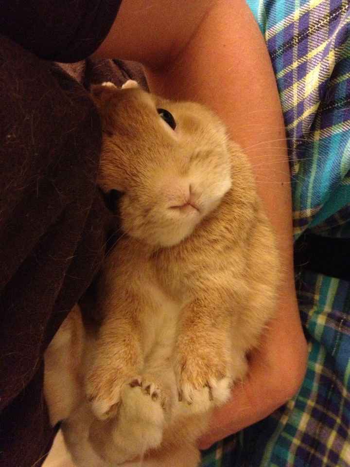 Fun Reminders on this Crazy Tuesday