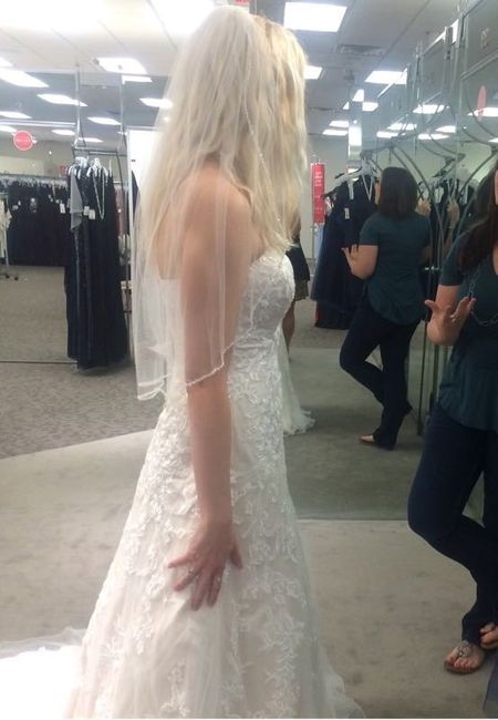 Let me see your veil!