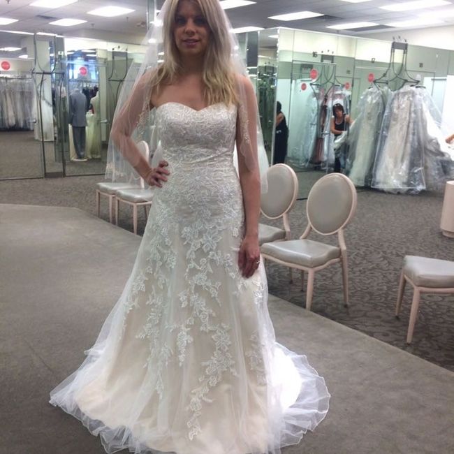 I want to see dresses!