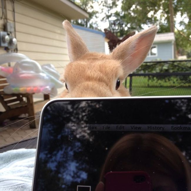 KWR: Who else missed their pets?