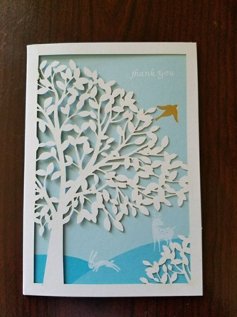 Where did you order thank you cards?