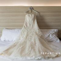 David Bridal dresses